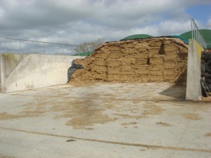 Silage Base